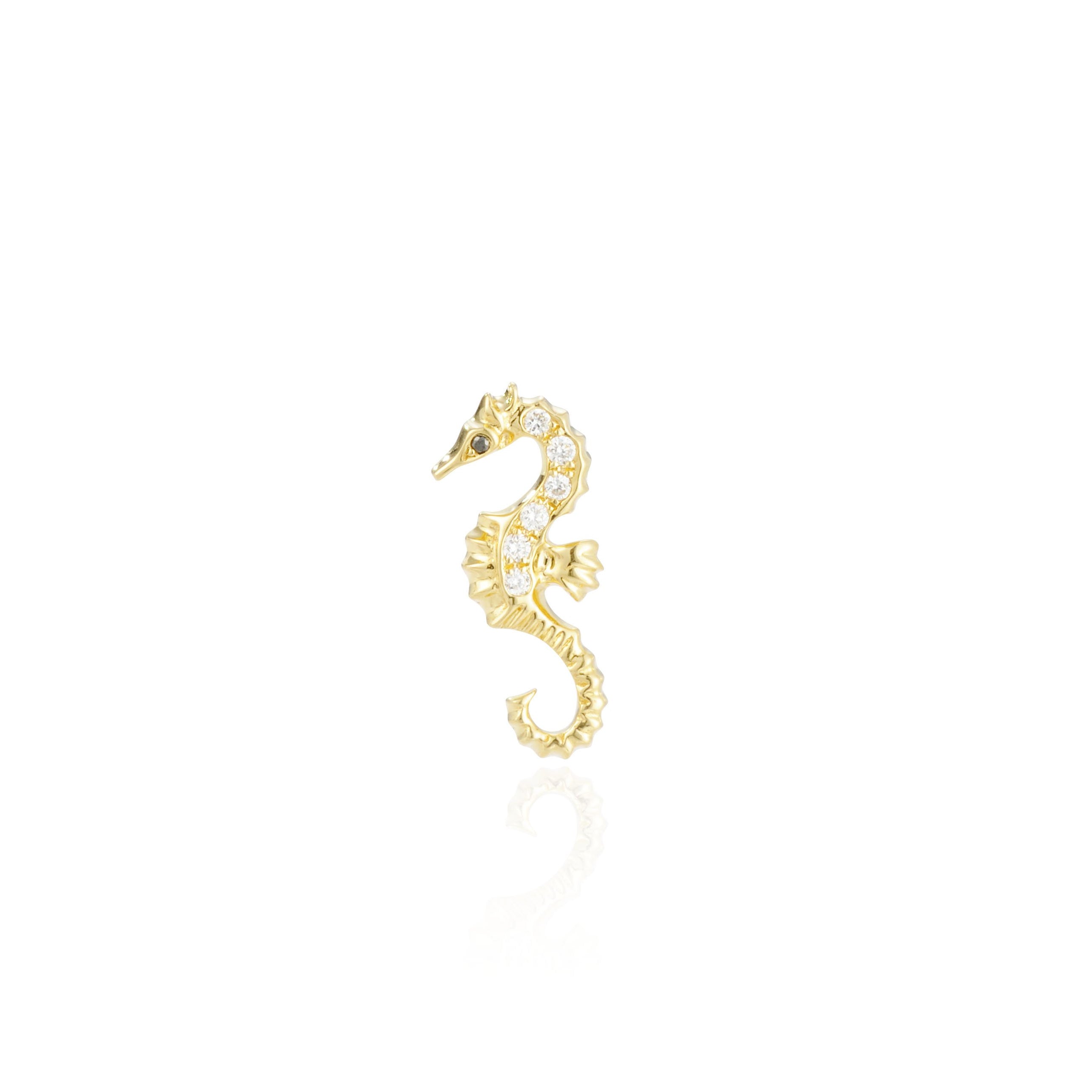 クアラントット　ピアス　タツノオトシゴ たつのおとしごピアス – Bijou de M