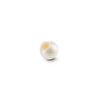ビジュードエム プチレインボーピアス Petit Rainbow Earring プチレインボーピアス – Bijou de M